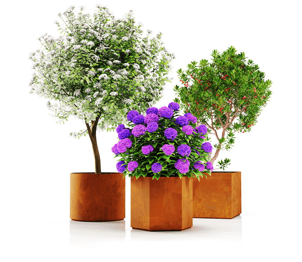 10_Dideli_all-1024x1024