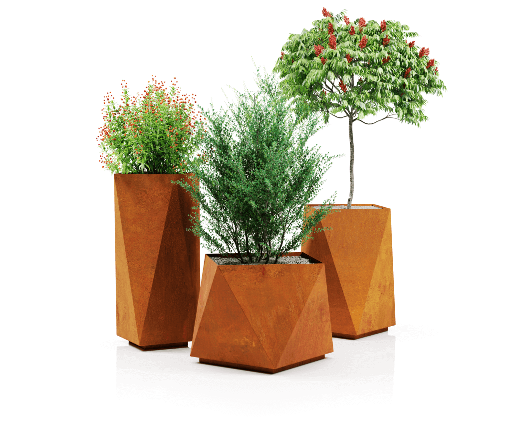 08_Platejantys_all.0000-1024x1024